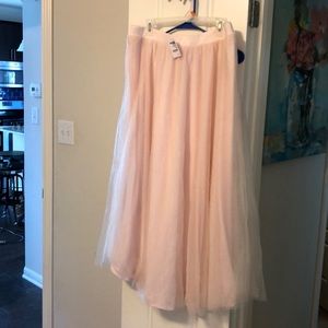 Charlotte Russe Pink Tulle Skirt (long)